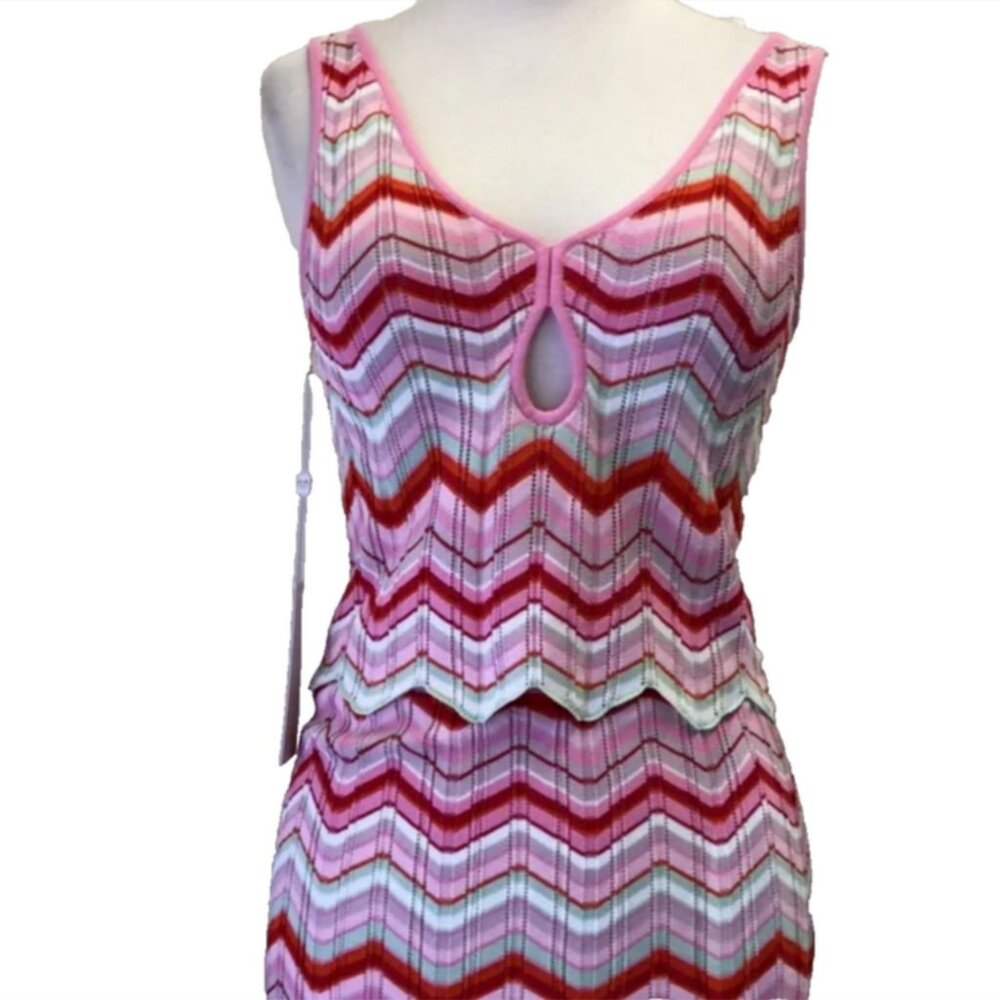Torn by Ronny Kobo Chevron Striped Skirt Set